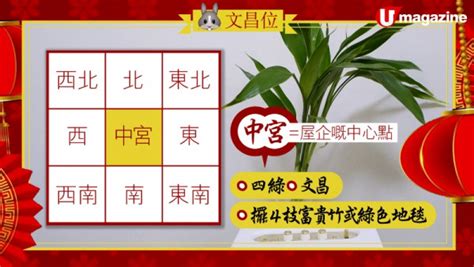 2023文昌位富貴竹|2023兔年家居風水佈局 龍師傅話你知！ 病位要點化。